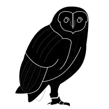 {{ $t("contact.title") }} {{ $t("contact.title") }}